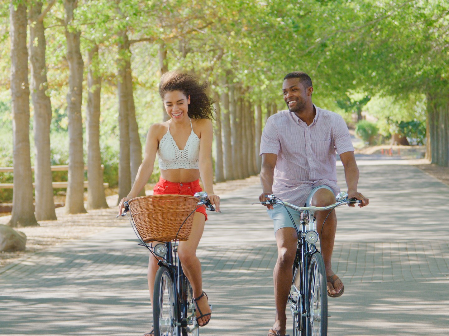 Biking Bliss at Lower Don Trail